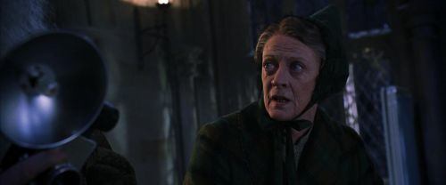 CS-Potterish_04307.jpg