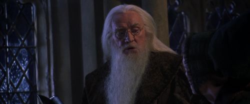 CS-Potterish_04314.jpg
