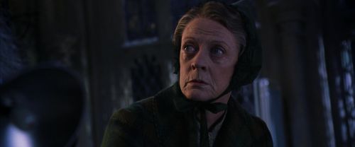 CS-Potterish_04317.jpg