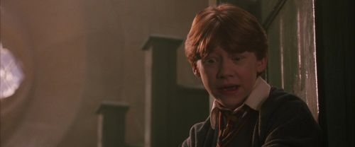 CS-Potterish_04354.jpg