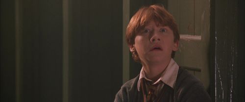 CS-Potterish_04383.jpg