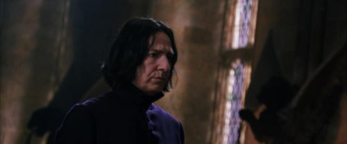 CS-Potterish_04473.jpg