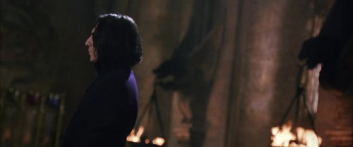 CS-Potterish_04488.jpg