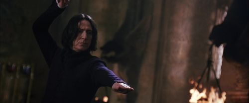 CS-Potterish_04489.jpg