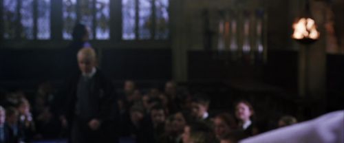 CS-Potterish_04566.jpg