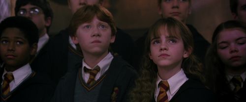 CS-Potterish_04596.jpg