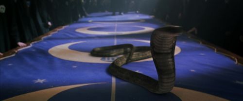 CS-Potterish_04651.jpg