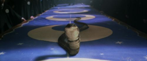 CS-Potterish_04653.jpg