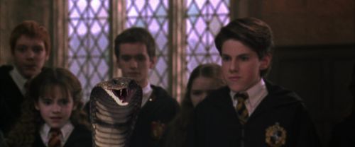 CS-Potterish_04674.jpg