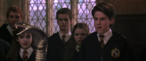 CS-Potterish_04675.jpg