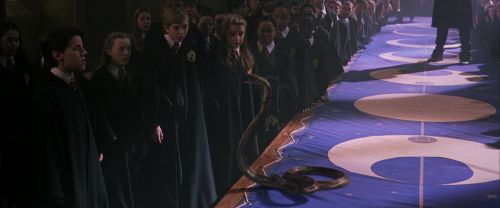 CS-Potterish_04698.jpg