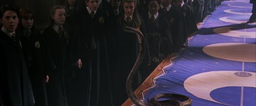CS-Potterish_04700.jpg