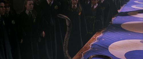 CS-Potterish_04701.jpg