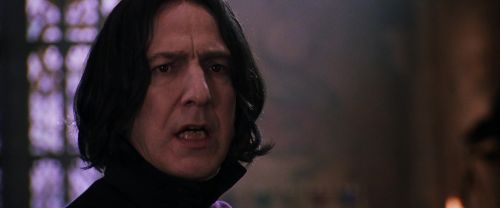 CS-Potterish_04718.jpg