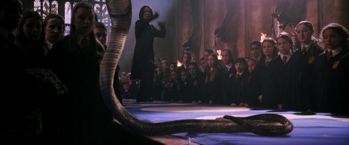 CS-Potterish_04719.jpg
