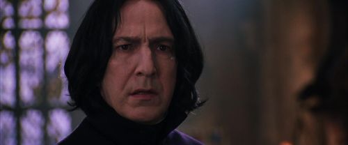 CS-Potterish_04738.jpg