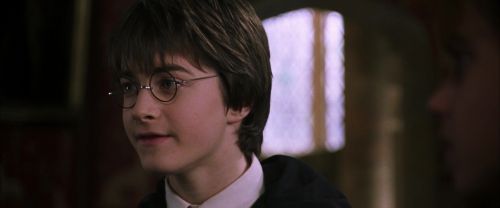 CS-Potterish_04772.jpg