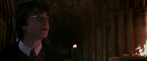 CS-Potterish_04889.jpg