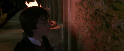 CS-Potterish_04892.jpg