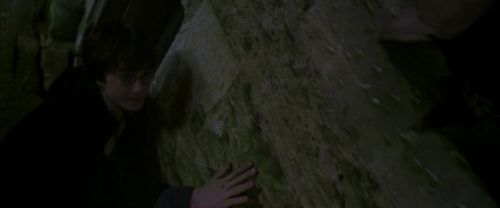 CS-Potterish_04904.jpg