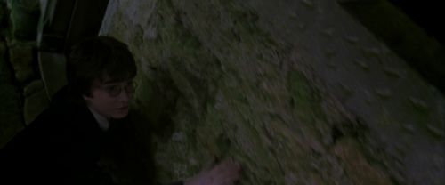 CS-Potterish_04905.jpg