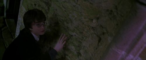 CS-Potterish_04906.jpg