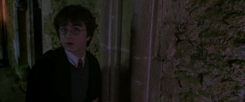 CS-Potterish_04909.jpg