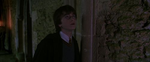 CS-Potterish_04910.jpg