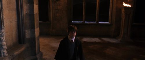 CS-Potterish_04924.jpg