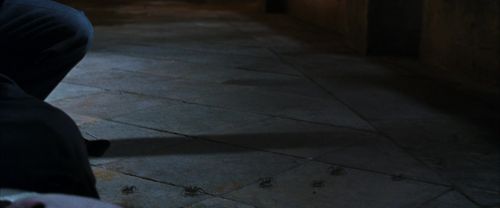 CS-Potterish_04971.jpg