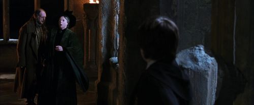 CS-Potterish_04990.jpg