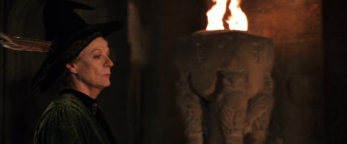 CS-Potterish_05021.jpg