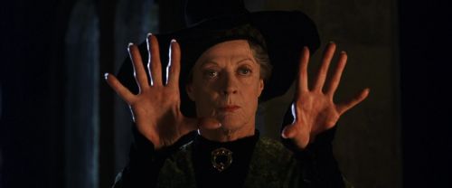 CS-Potterish_05029.jpg
