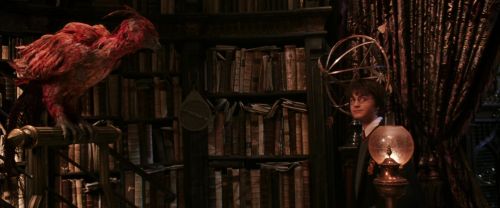 CS-Potterish_05132.jpg