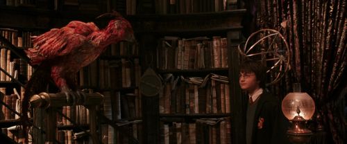 Click to view full size image
==============
CS-Potterish_05133.jpg CS-Potterish_05133.jpg