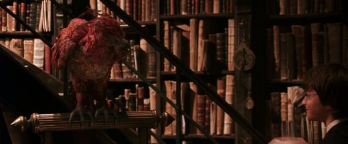 CS-Potterish_05134.jpg
