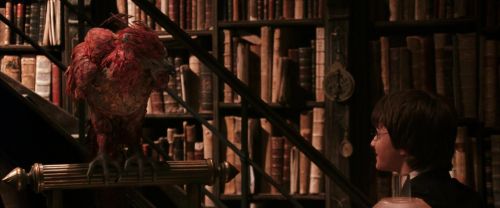 CS-Potterish_05135.jpg
