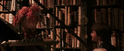 Click to view full size image
==============
CS-Potterish_05136.jpg CS-Potterish_05136.jpg