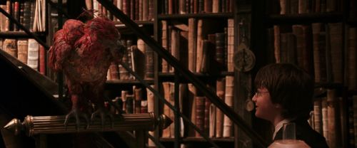 Click to view full size image
==============
CS-Potterish_05137.jpg CS-Potterish_05137.jpg