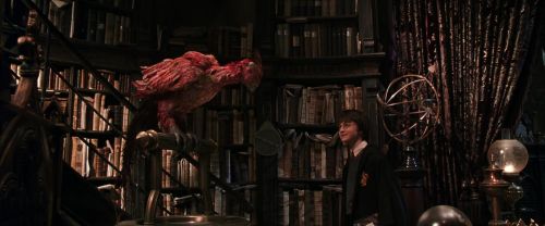 CS-Potterish_05140.jpg