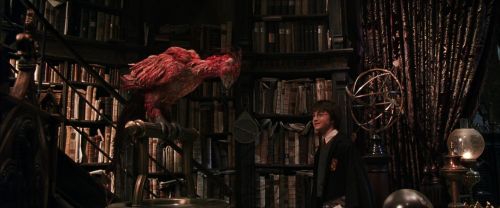 Click to view full size image
==============
CS-Potterish_05141.jpg CS-Potterish_05141.jpg