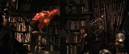 CS-Potterish_05142.jpg
