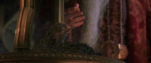 CS-Potterish_05192.jpg