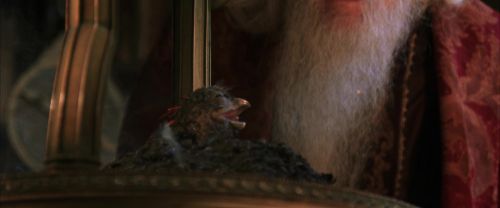 Click to view full size image
==============
CS-Potterish_05195.jpg CS-Potterish_05195.jpg