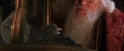 Click to view full size image
==============
CS-Potterish_05196.jpg CS-Potterish_05196.jpg