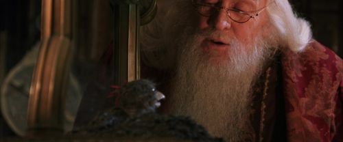 CS-Potterish_05197.jpg