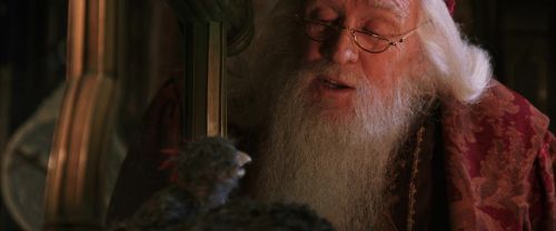 CS-Potterish_05198.jpg