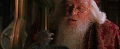 Click to view full size image
==============
CS-Potterish_05199.jpg CS-Potterish_05199.jpg