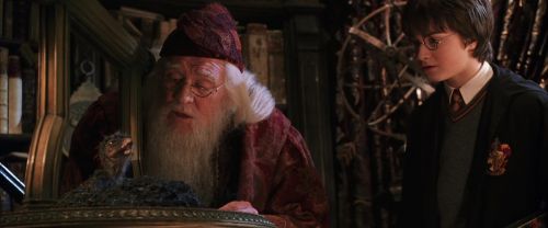 CS-Potterish_05203.jpg