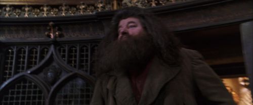 CS-Potterish_05211.jpg